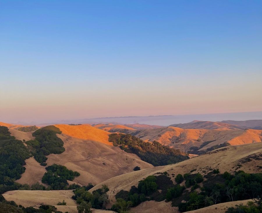 Fall 2026 Tutor Hiring Forms